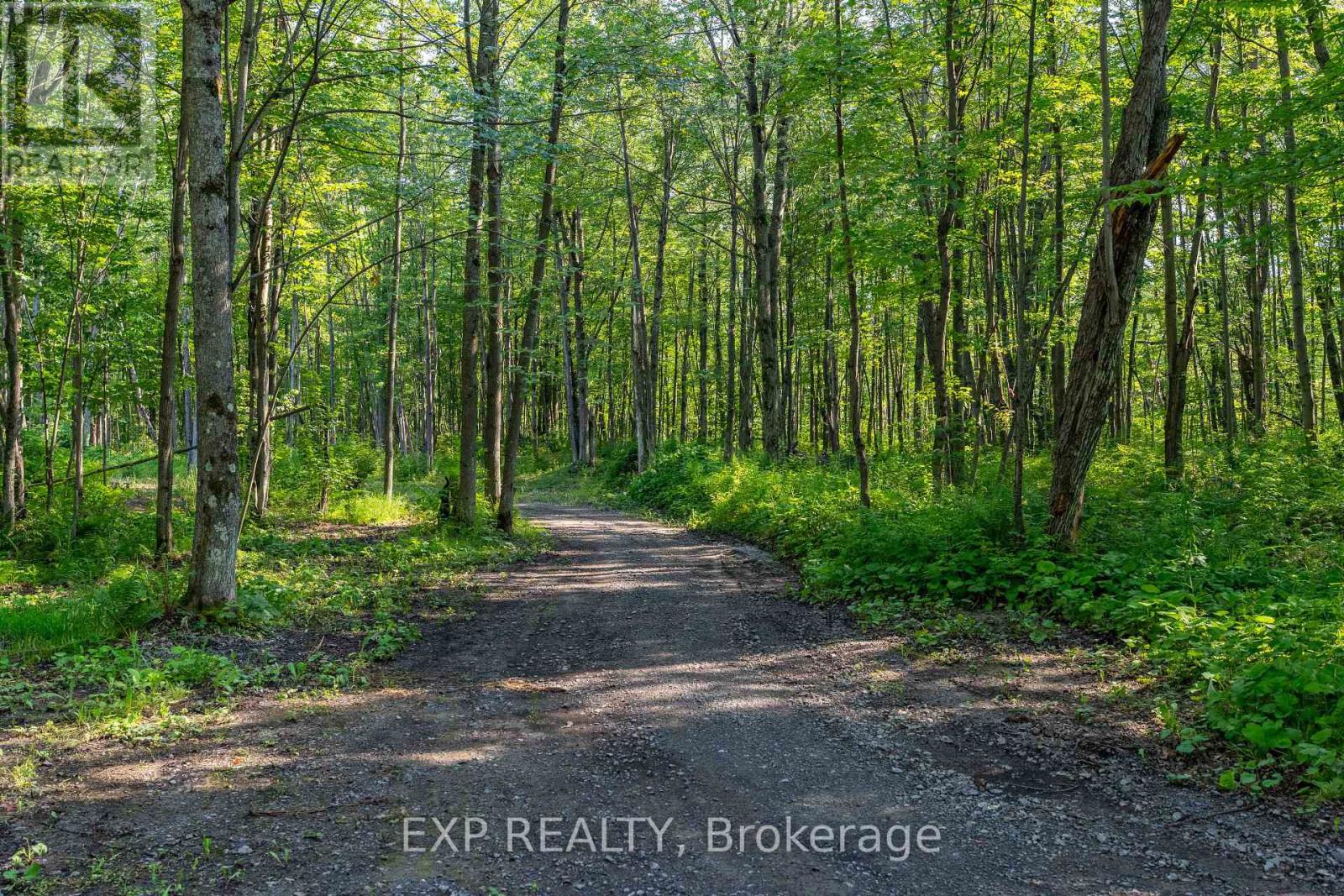 Lot 20 Concession 4 Road, Alfred And Plantagenet, Ontario  K0B 1L0 - Photo 2 - X13474452