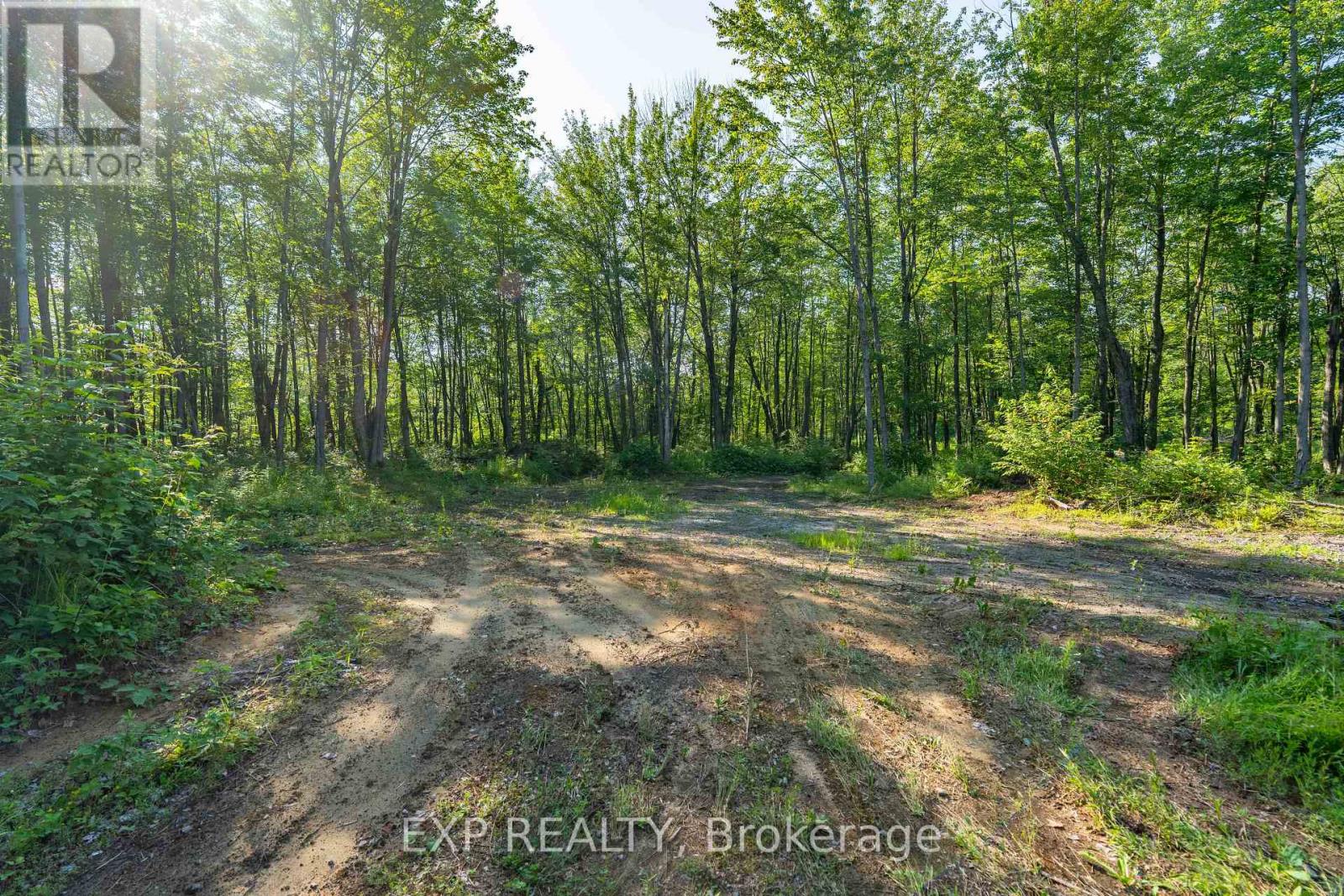 Lot 20 Concession 4 Road, Alfred And Plantagenet, Ontario  K0B 1L0 - Photo 3 - X13474452