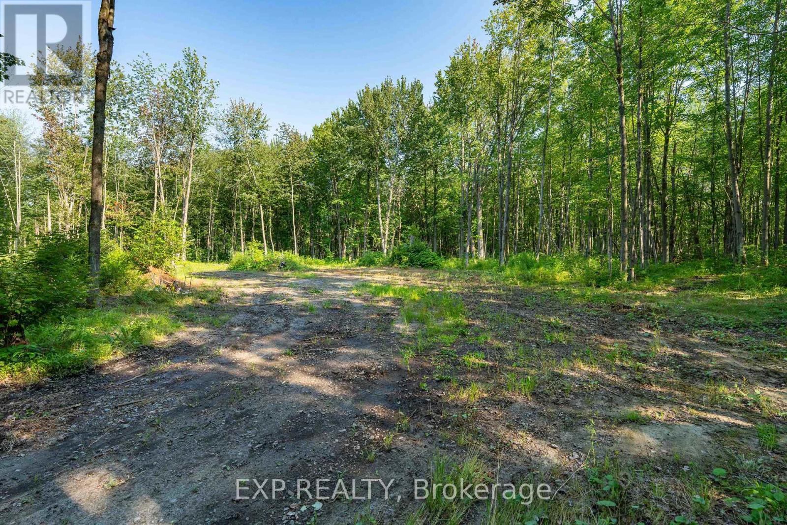 Lot 20 Concession 4 Road, Alfred And Plantagenet, Ontario  K0B 1L0 - Photo 4 - X13474452