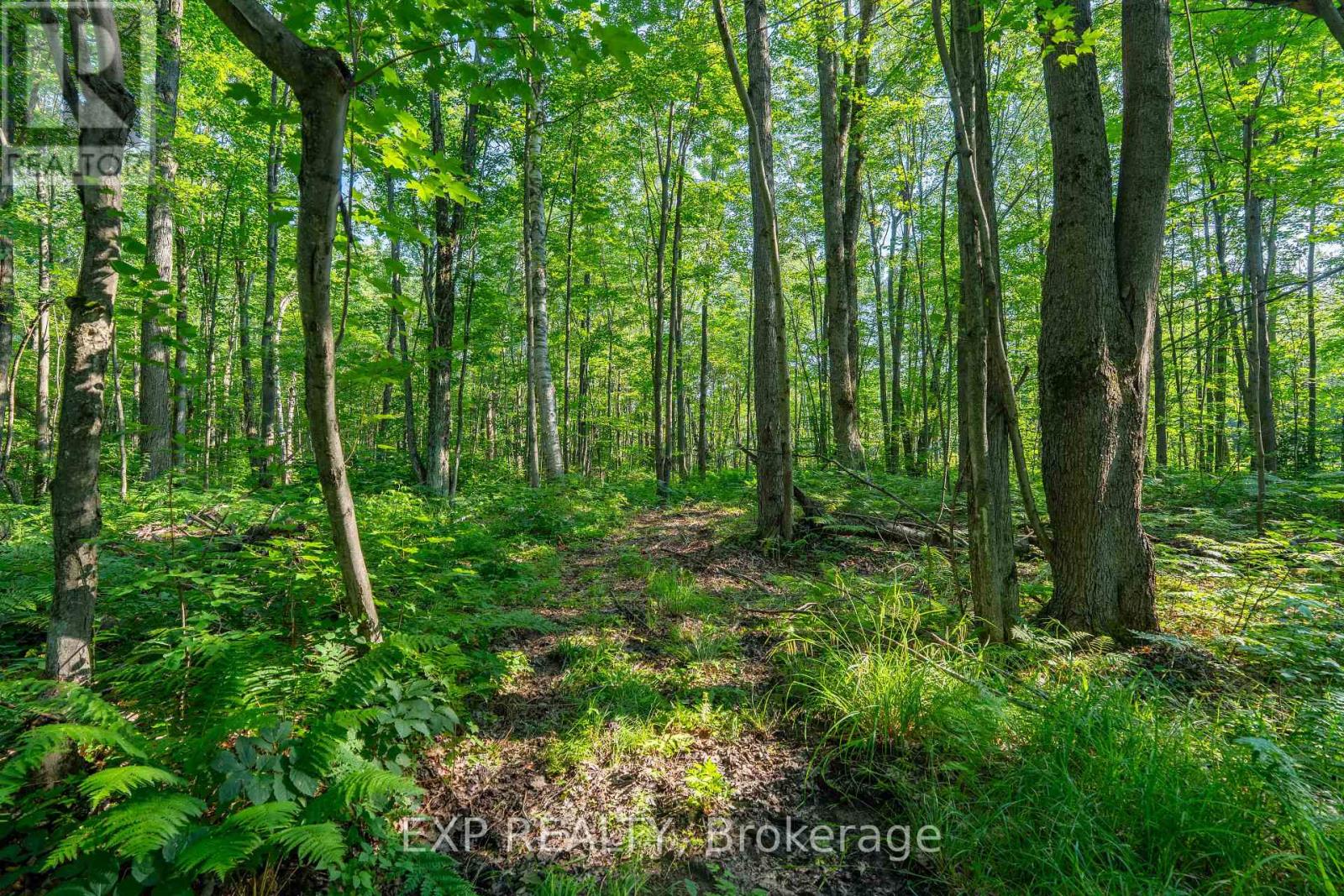 Lot 20 Concession 4 Road, Alfred And Plantagenet, Ontario  K0B 1L0 - Photo 6 - X13474452