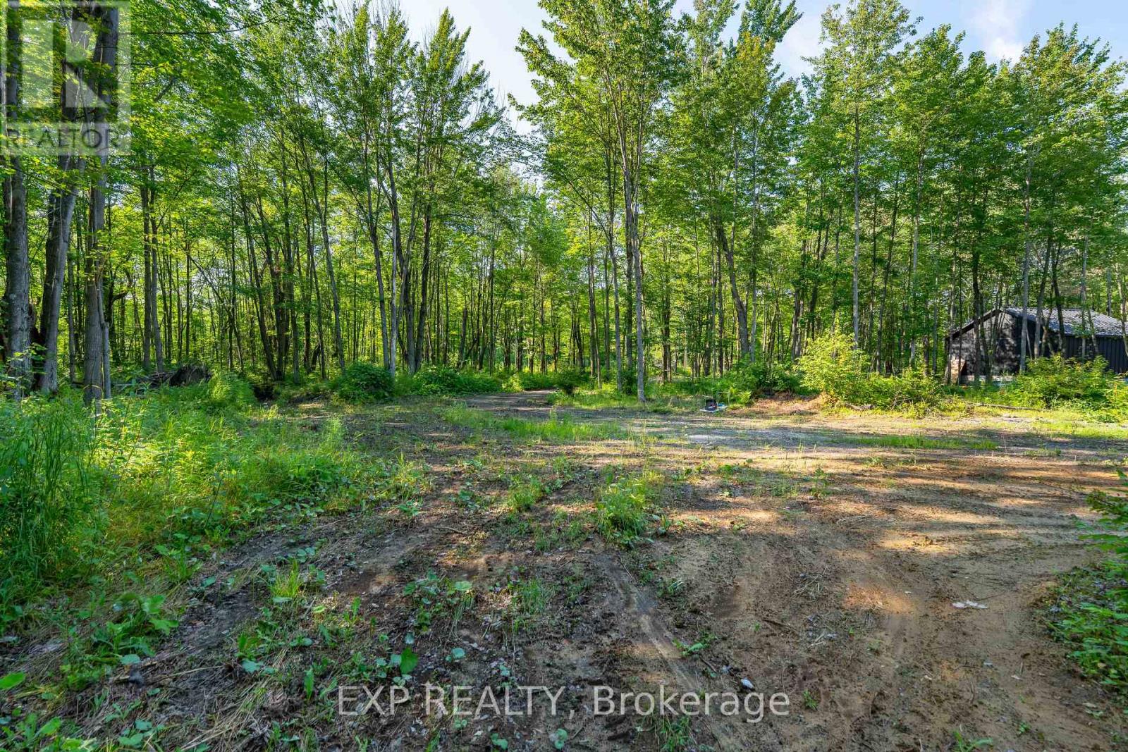Lot 20 Concession 4 Road, Alfred And Plantagenet, Ontario  K0B 1L0 - Photo 7 - X13474452