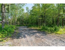 LOT 20 CONCESSION 4 ROAD, Alfred and Plantagenet, Ontario