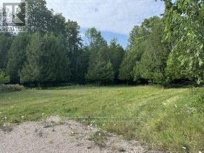 12992 #7 Highway, Lanark Highlands, Ontario  K7C 3P1 - Photo 3 - X13475132