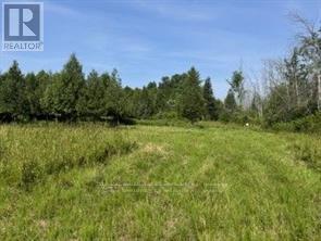 12992 #7 Highway, Lanark Highlands, Ontario  K7C 3P1 - Photo 4 - X13475132