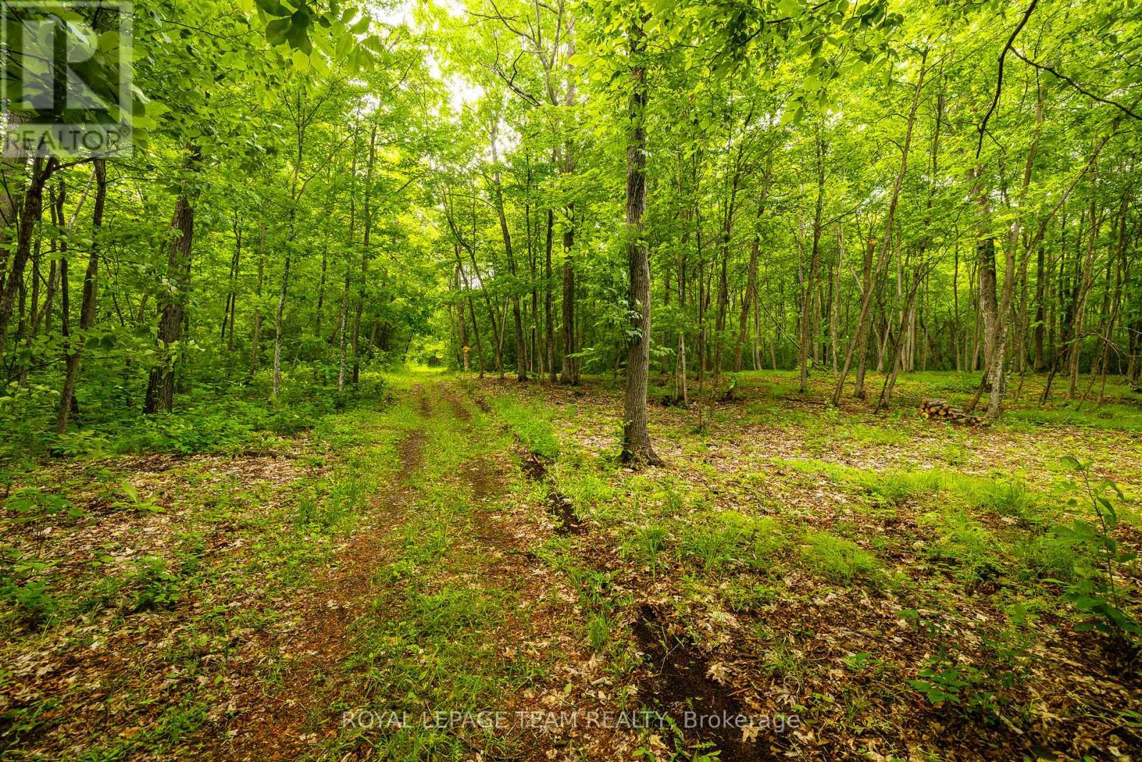 1142 County Road 43 Road, Merrickville-Wolford, Ontario  K0G 1N0 - Photo 47 - X13477428