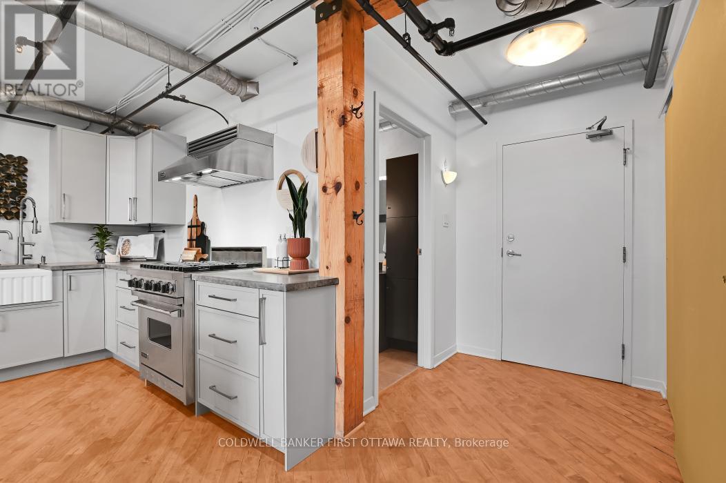 303 - 95 Beech Street, Ottawa, Ontario  K1S 3J7 - Photo 9 - X13479036