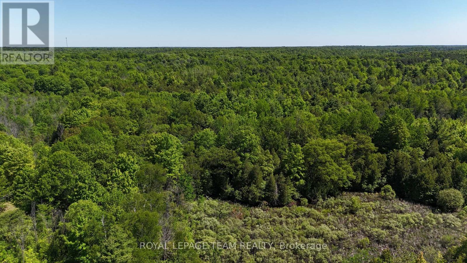 000 Dragonfly Lane, Rideau Lakes, Ontario  K0G 1L0 - Photo 6 - X13479602