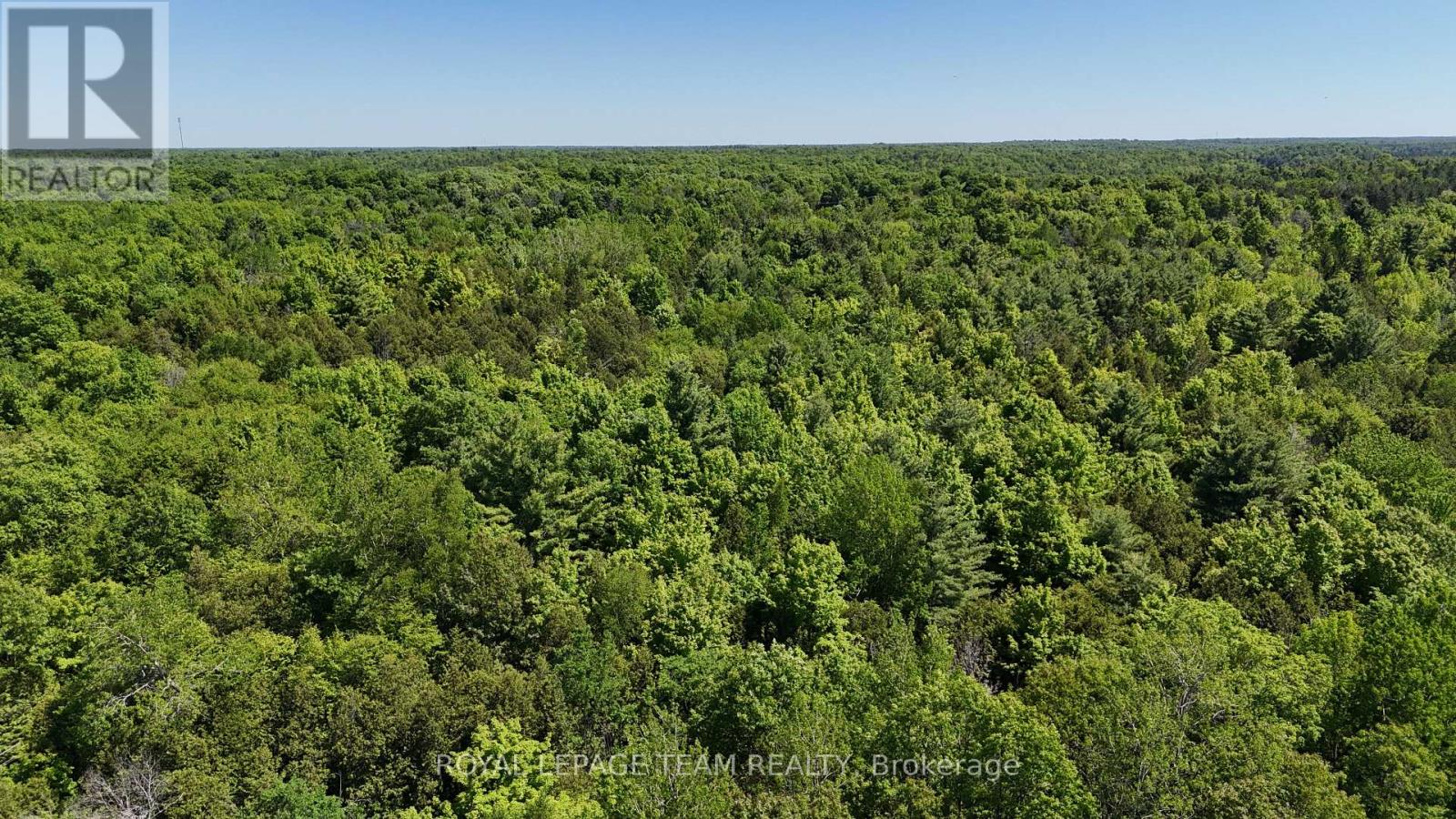 000 Dragonfly Lane, Rideau Lakes, Ontario  K0G 1L0 - Photo 7 - X13479602