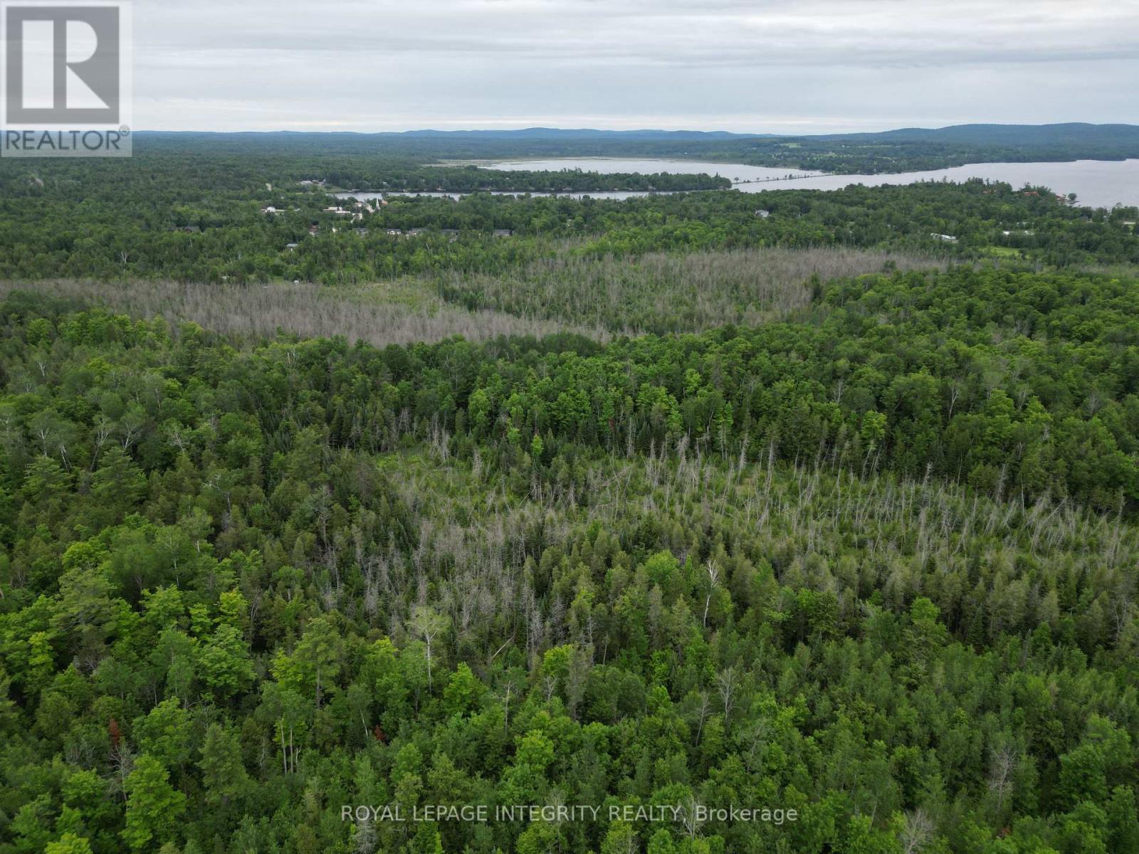 9999 Francis Street, Greater Madawaska, Ontario  A0A 0A0 - Photo 17 - X13484206
