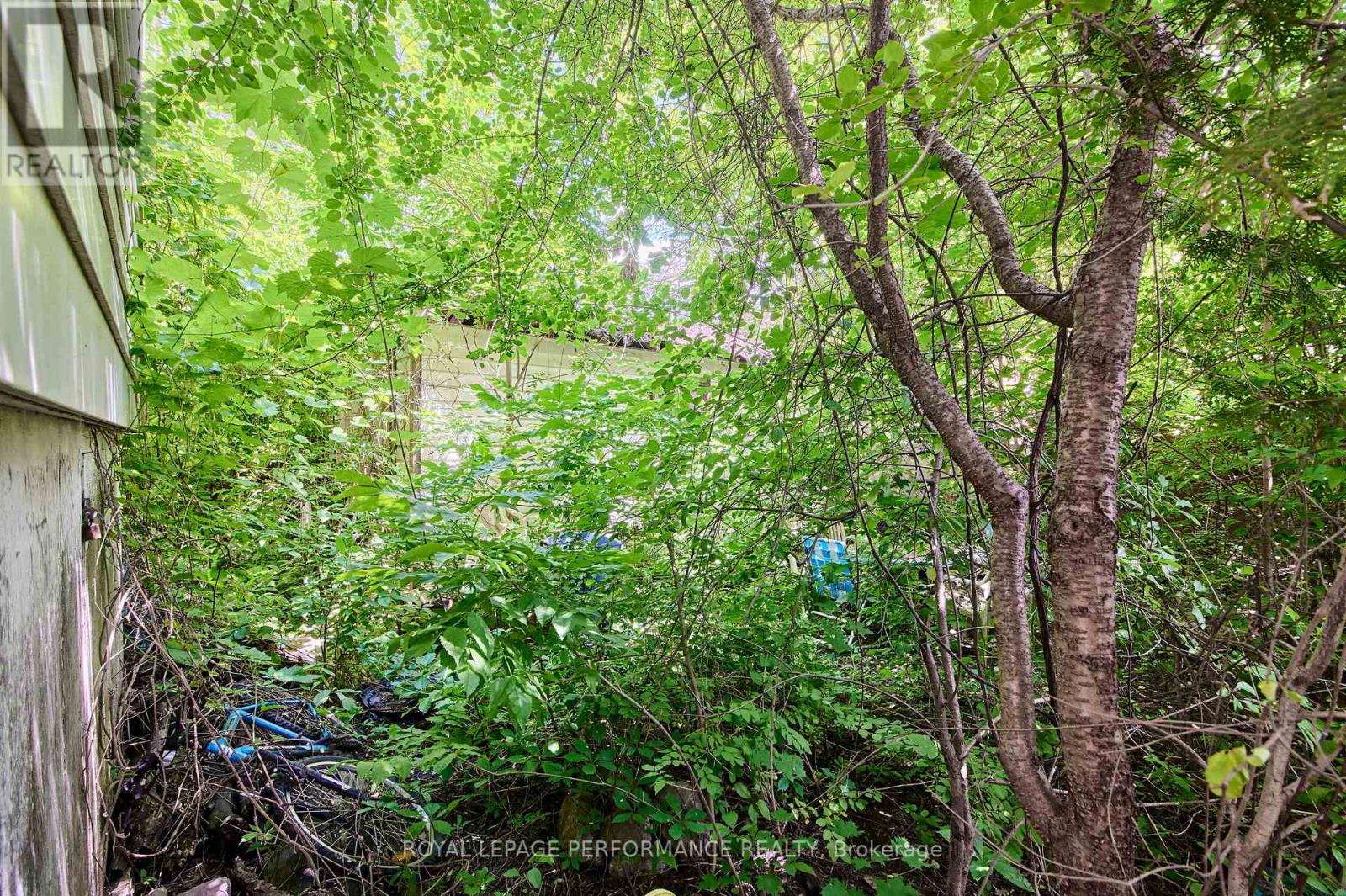 6 Ossington Avenue, Ottawa, Ontario  K1S 3B4 - Photo 3 - X13486362