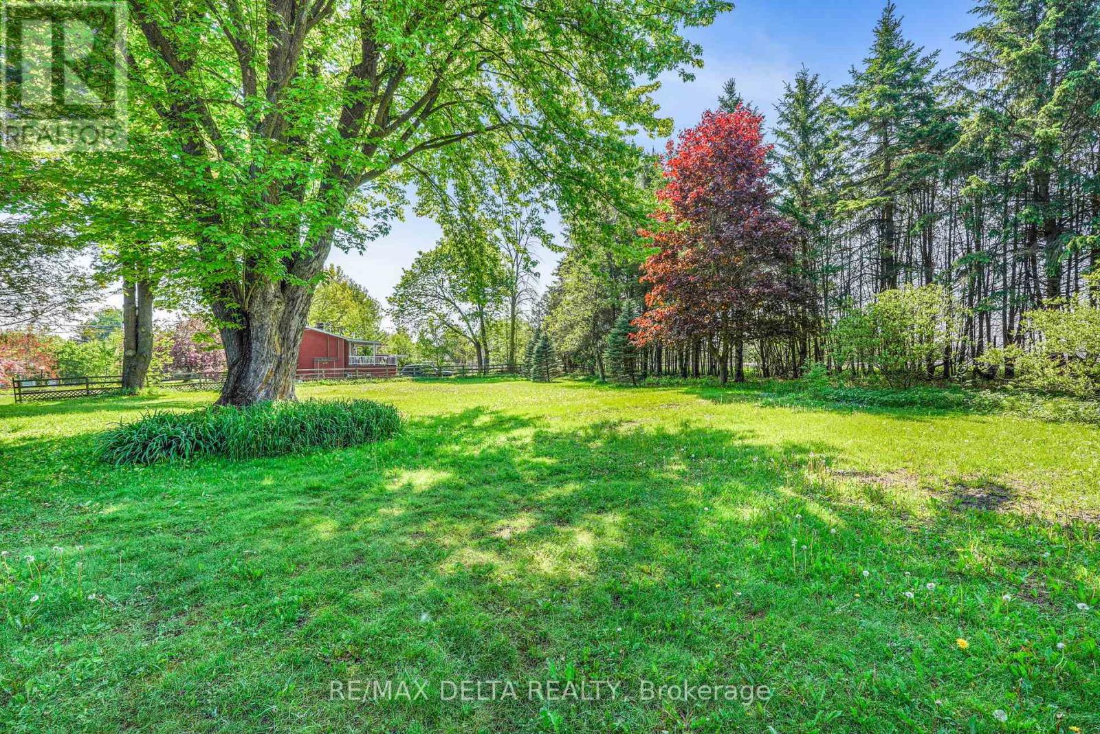 3558 Principale Street, Alfred And Plantagenet, Ontario  K0A 3K0 - Photo 5 - X13489048