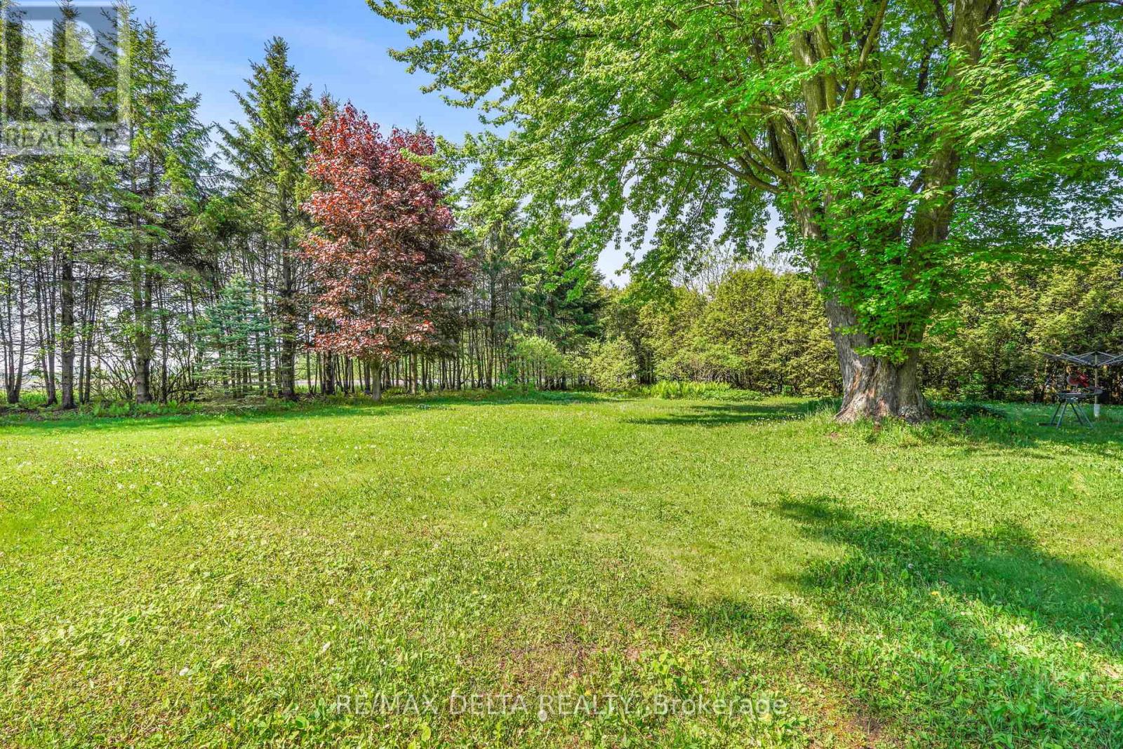 3558 Principale Street, Alfred And Plantagenet, Ontario  K0A 3K0 - Photo 6 - X13489048