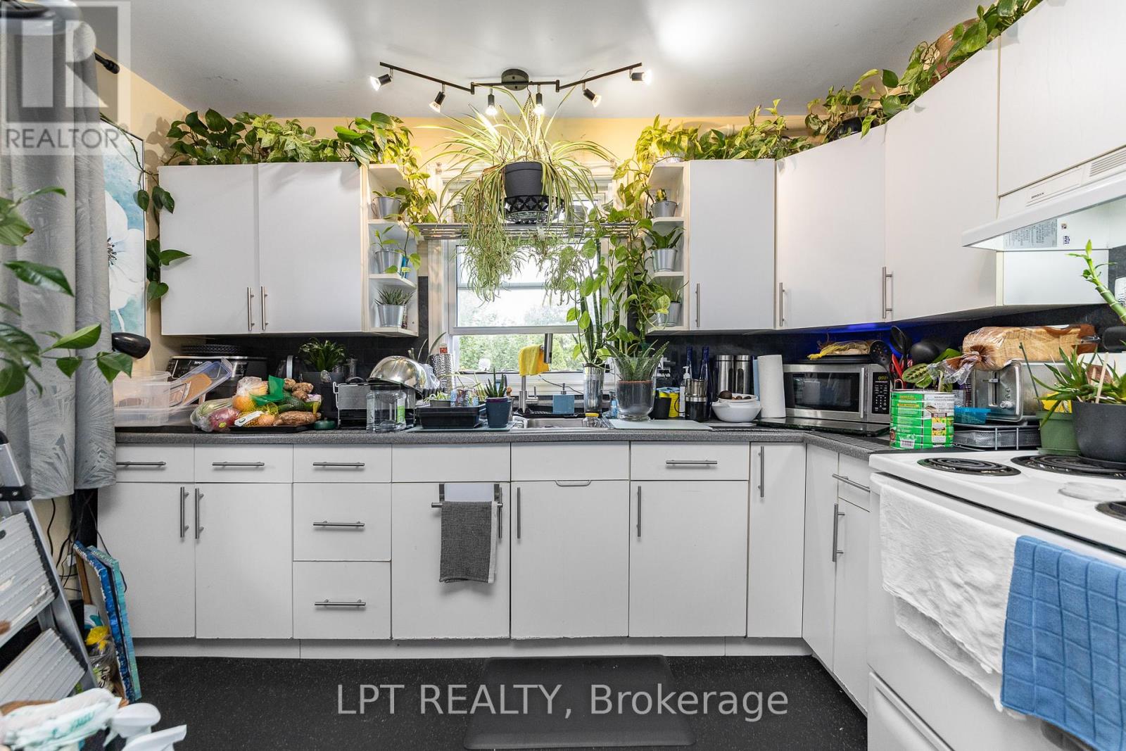 361 Iberville Street, Ottawa, Ontario  K1L 6G1 - Photo 29 - X13492392