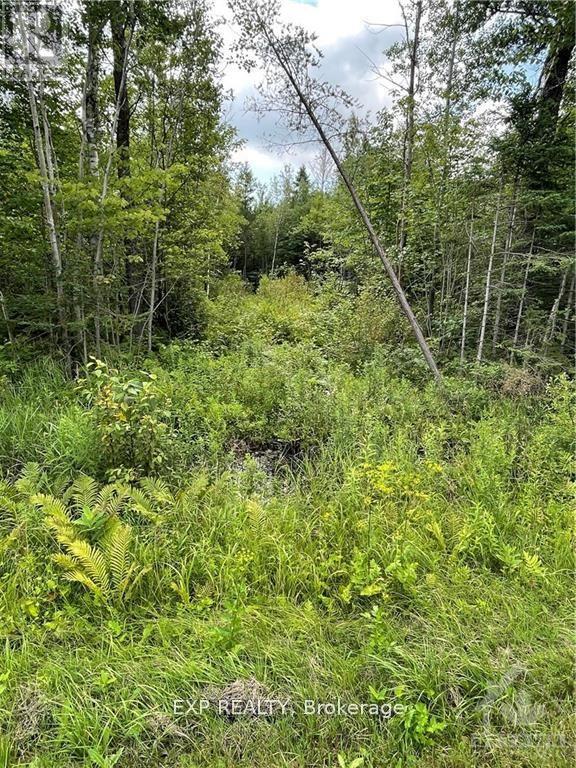 00 A1 Concession Road 4 Road, Alfred And Plantagenet, Ontario  K0B 1L0 - Photo 1 - X13492466