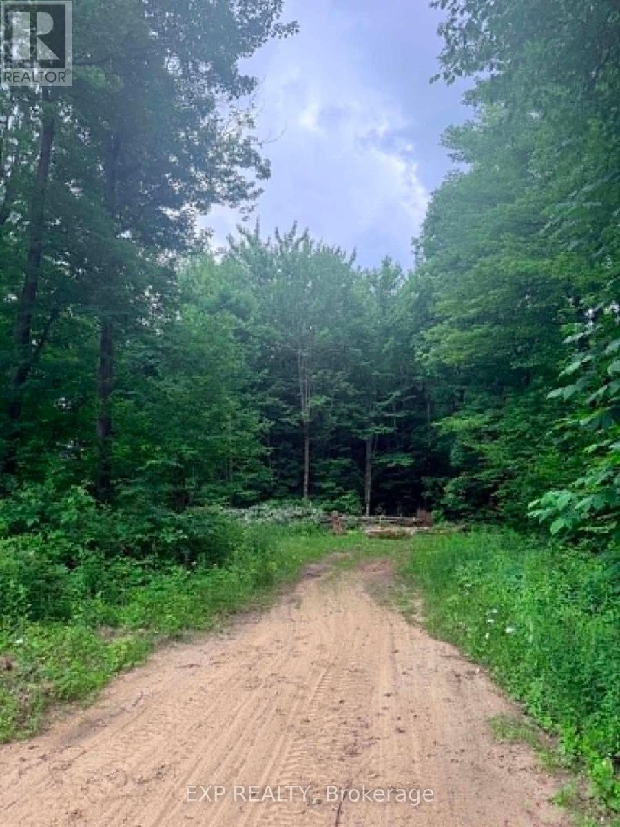 00 B Concession Road 4 Road, Alfred And Plantagenet, Ontario  K0B 1L0 - Photo 5 - X13492480