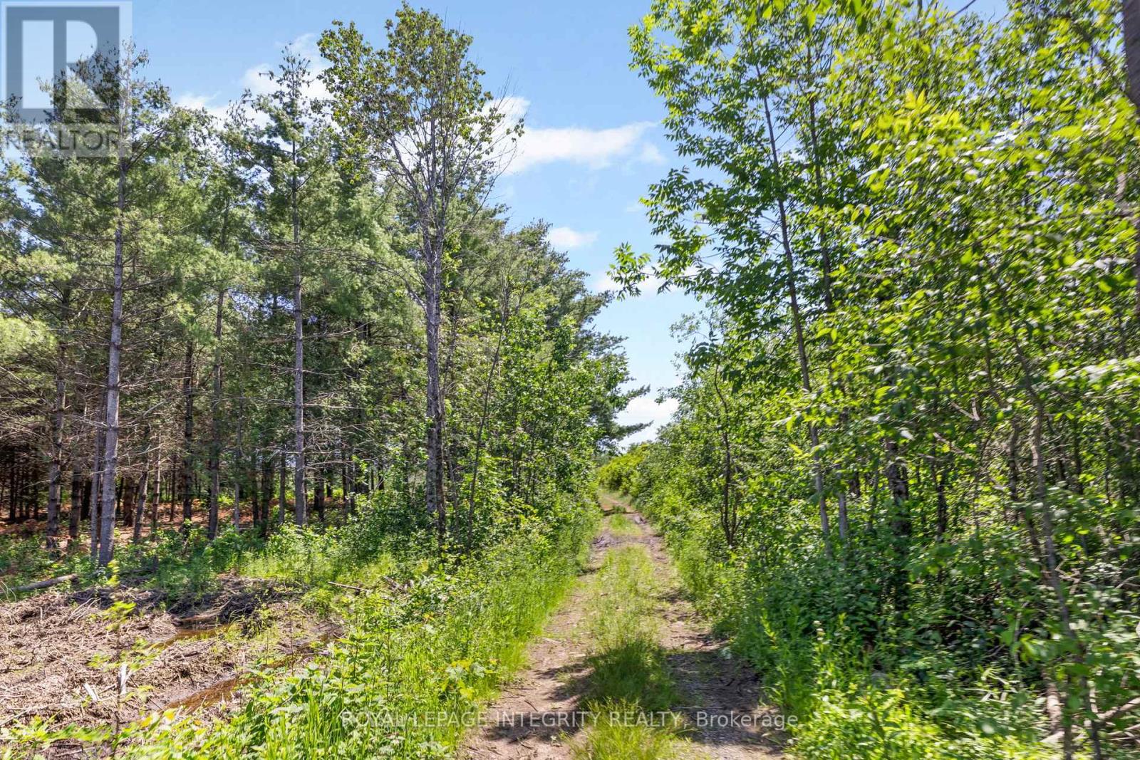 4228 O'neil Road, Ottawa, Ontario  K0A 1B0 - Photo 43 - X13493718
