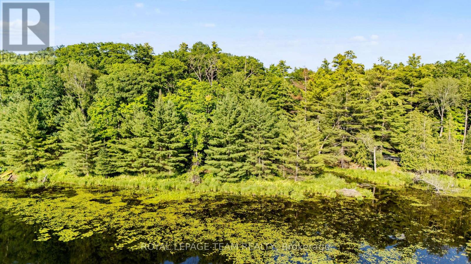 00 Little Silver Lake Road, Tay Valley, Ontario  K0H 2B0 - Photo 5 - X13495328