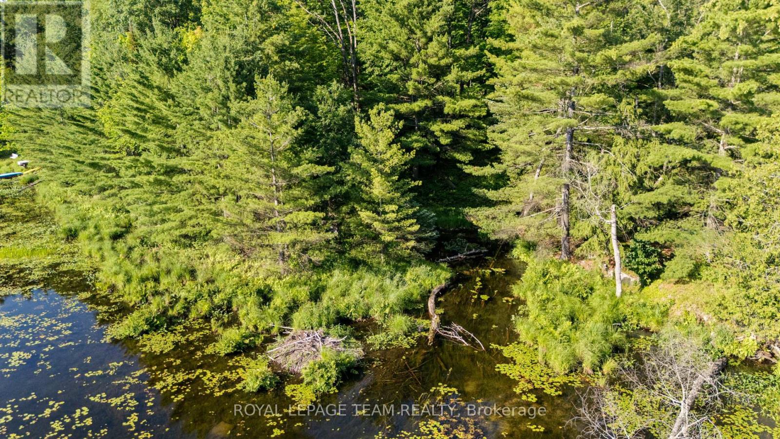 00 Little Silver Lake Road, Tay Valley, Ontario  K0H 2B0 - Photo 6 - X13495328