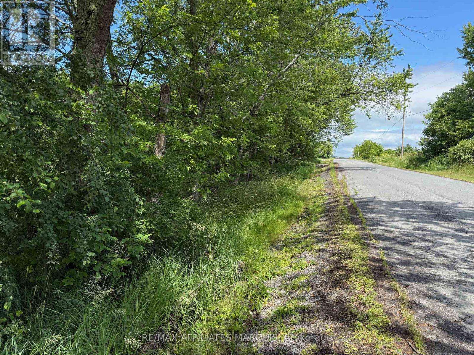 231 Wellington (Pin-451060369) Street, Greater Napanee, Ontario  K0K 1G0 - Photo 3 - X13497252