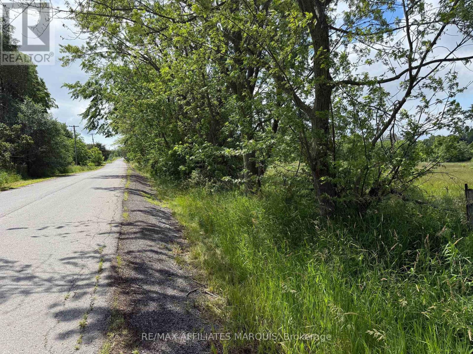231 Wellington ( Pin-451060369) Street, Greater Napanee, Ontario  K0K 1G0 - Photo 5 - X13497258