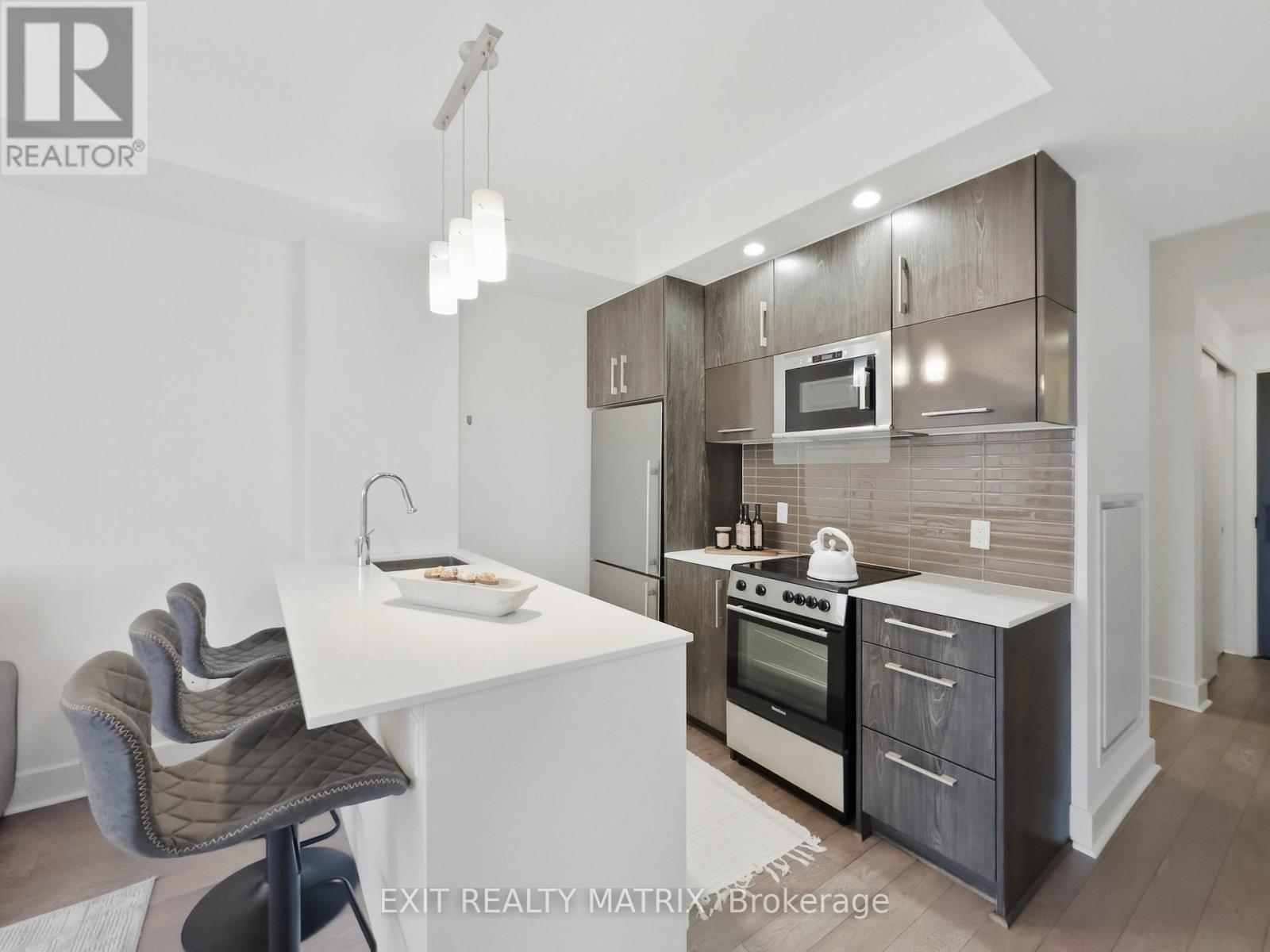 513 - 255 Bay Street, Ottawa, Ontario  K1R 0C5 - Photo 10 - X13507776