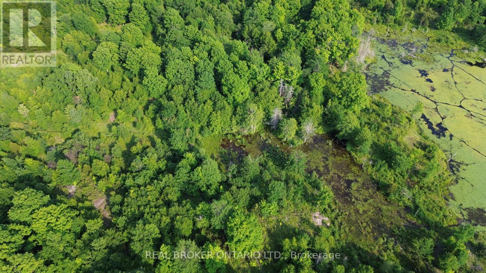 Lot 22 Mountain Road, Rideau Lakes, Ontario  K0G 1X0 - Photo 3 - X13512438