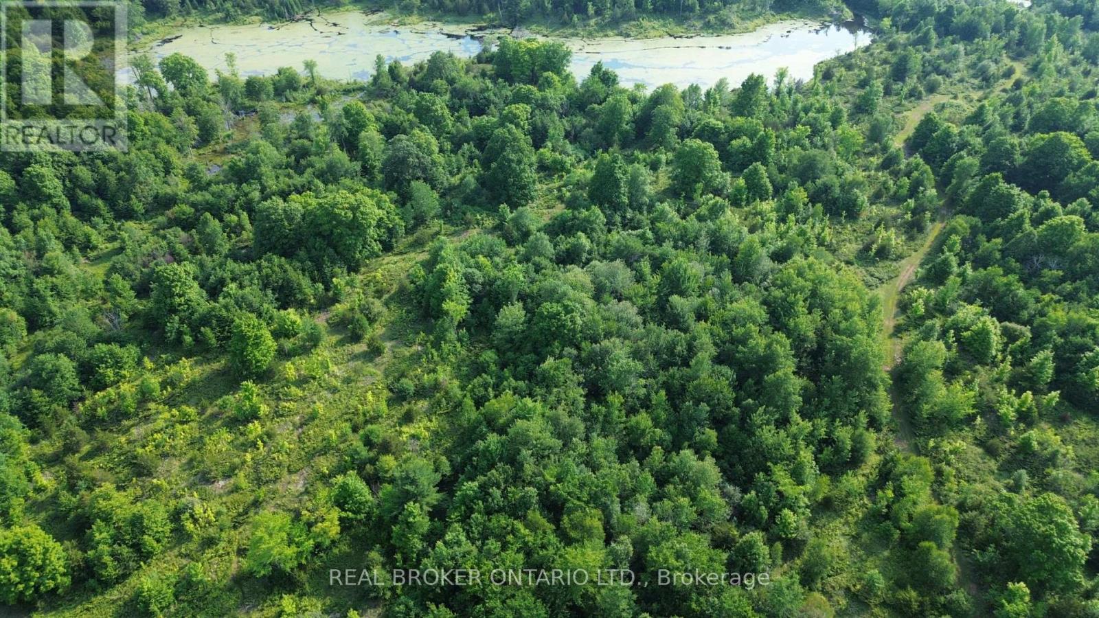 Lot 22 Mountain Road, Rideau Lakes, Ontario  K0G 1X0 - Photo 7 - X13512438