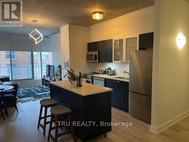 412 - 383 Cumberland Street, Ottawa, Ontario  K1N 1J7 - Photo 4 - X13516678