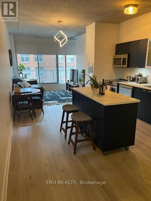 412 - 383 Cumberland Street, Ottawa, Ontario  K1N 1J7 - Photo 5 - X13516678