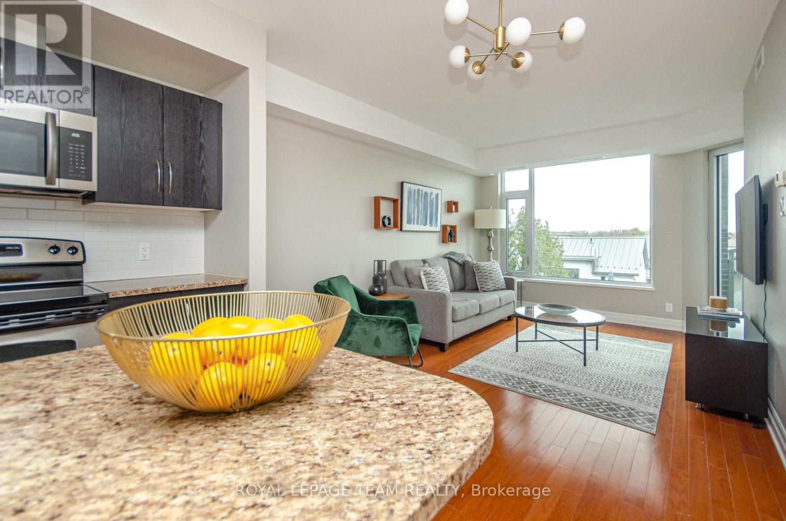 302 - 1433 Wellington Street W, Ottawa, Ontario  K1Y 2X4 - Photo 4 - X13518464
