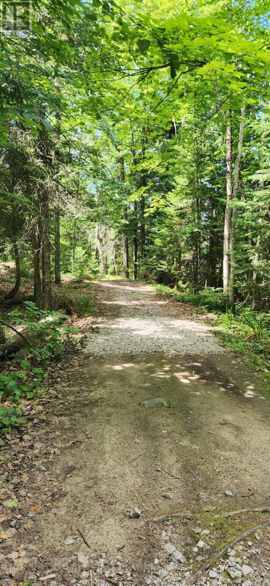 Pt L 27 Bow Lake Lane, Lanark Highlands, Ontario  K0G 1K0 - Photo 13 - X13518850
