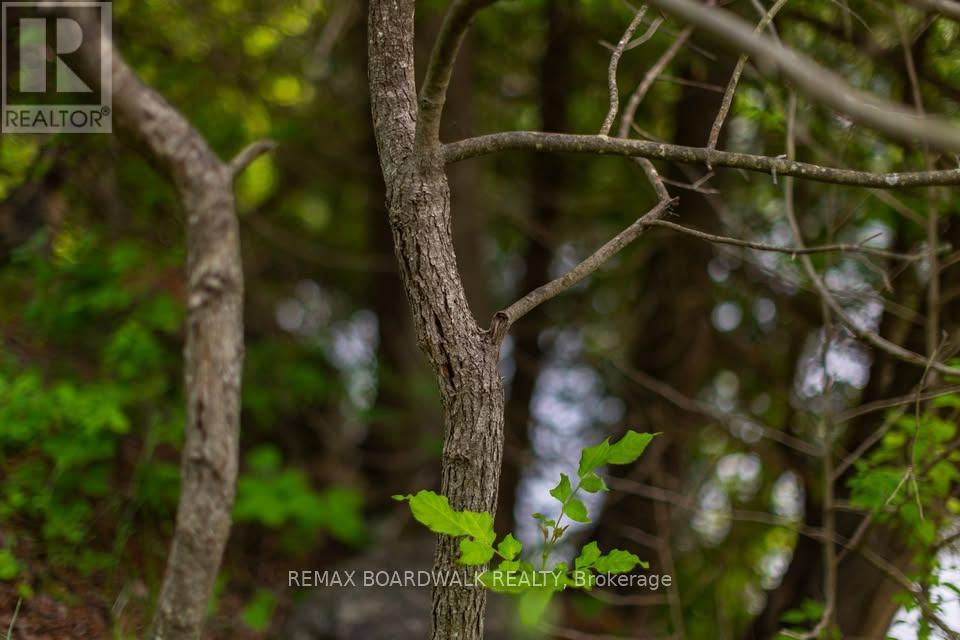 0 Stewart's Island, Drummond/north Elmsley, Ontario  K0G 1A0 - Photo 5 - X13521760