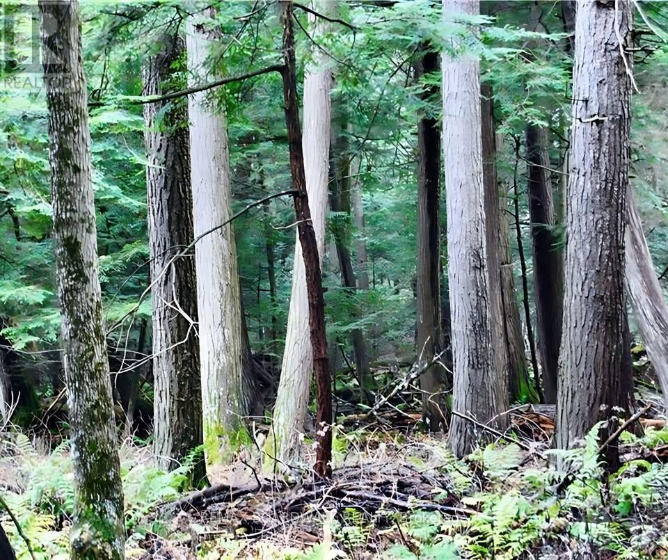 0 Stewart's Island, Drummond/north Elmsley, Ontario  K0G 1A0 - Photo 7 - X13521760