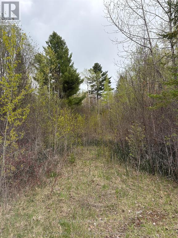 2035 Ventnor Road, Edwardsburgh/cardinal, Ontario  K0E 1X0 - Photo 1 - X13523390