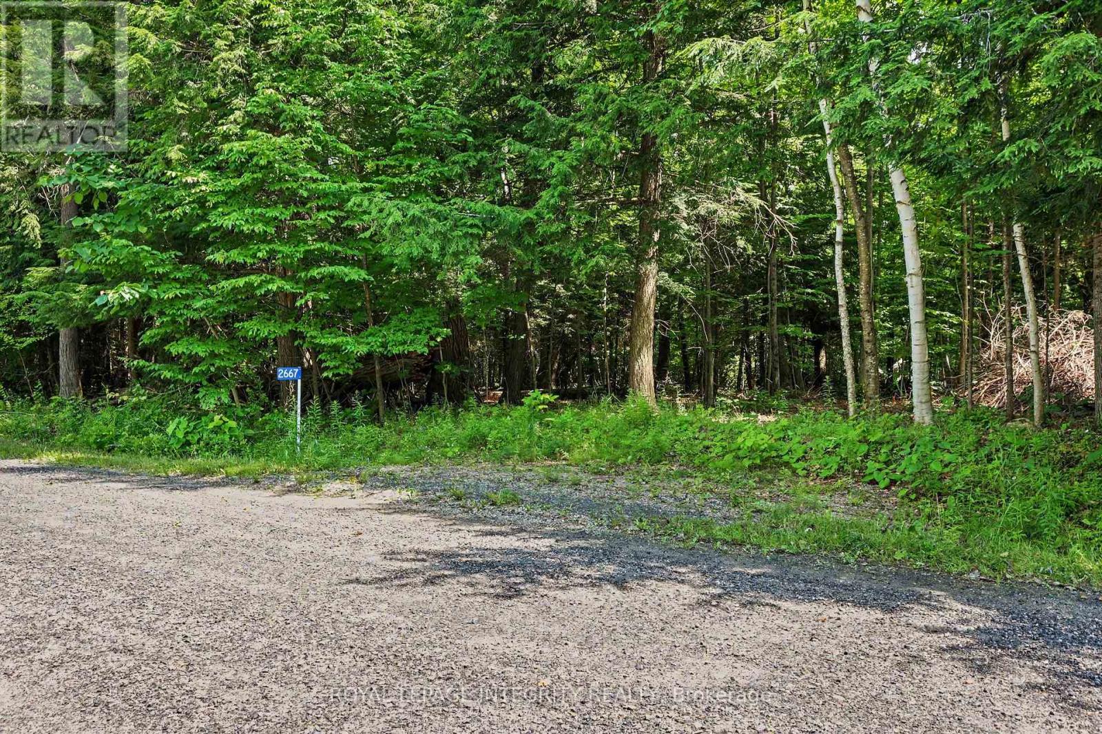 2667 Palmer Road, Tay Valley, Ontario  K7H 3C9 - Photo 1 - X13532954