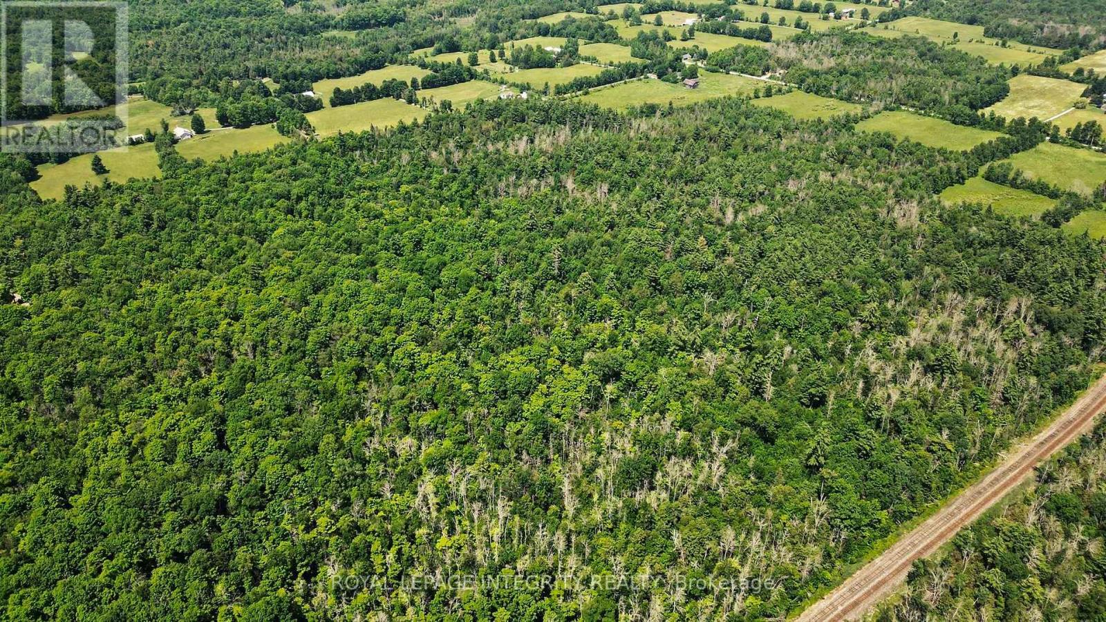 2667 Palmer Road, Tay Valley, Ontario  K7H 3C9 - Photo 11 - X13532954