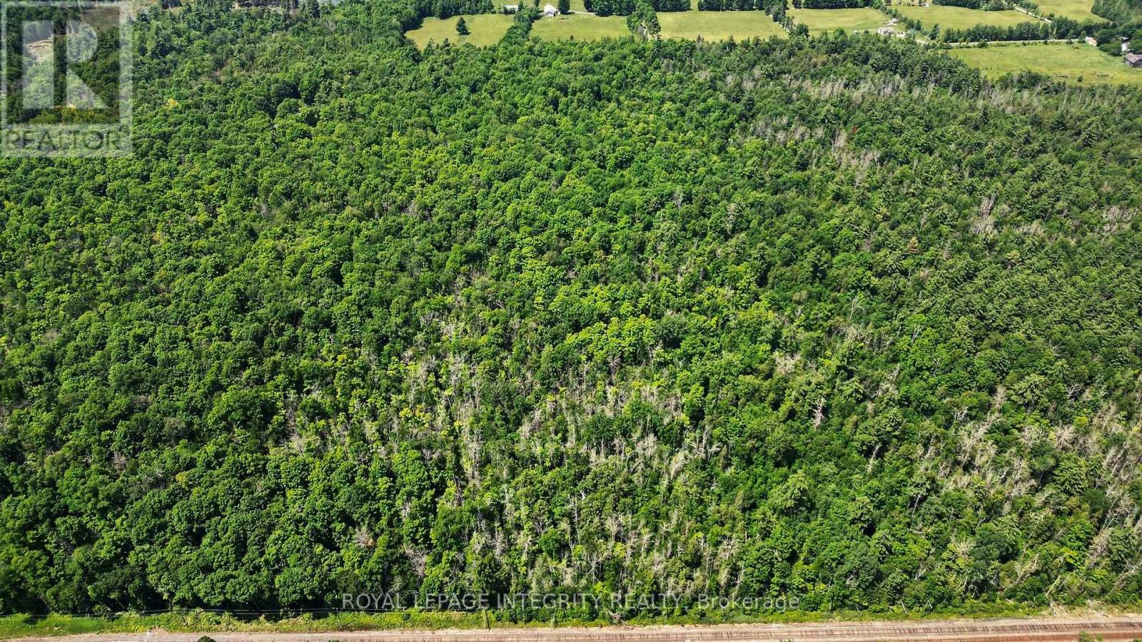 2667 Palmer Road, Tay Valley, Ontario  K7H 3C9 - Photo 12 - X13532954