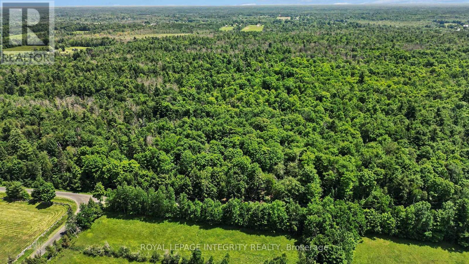 2667 Palmer Road, Tay Valley, Ontario  K7H 3C9 - Photo 9 - X13532954