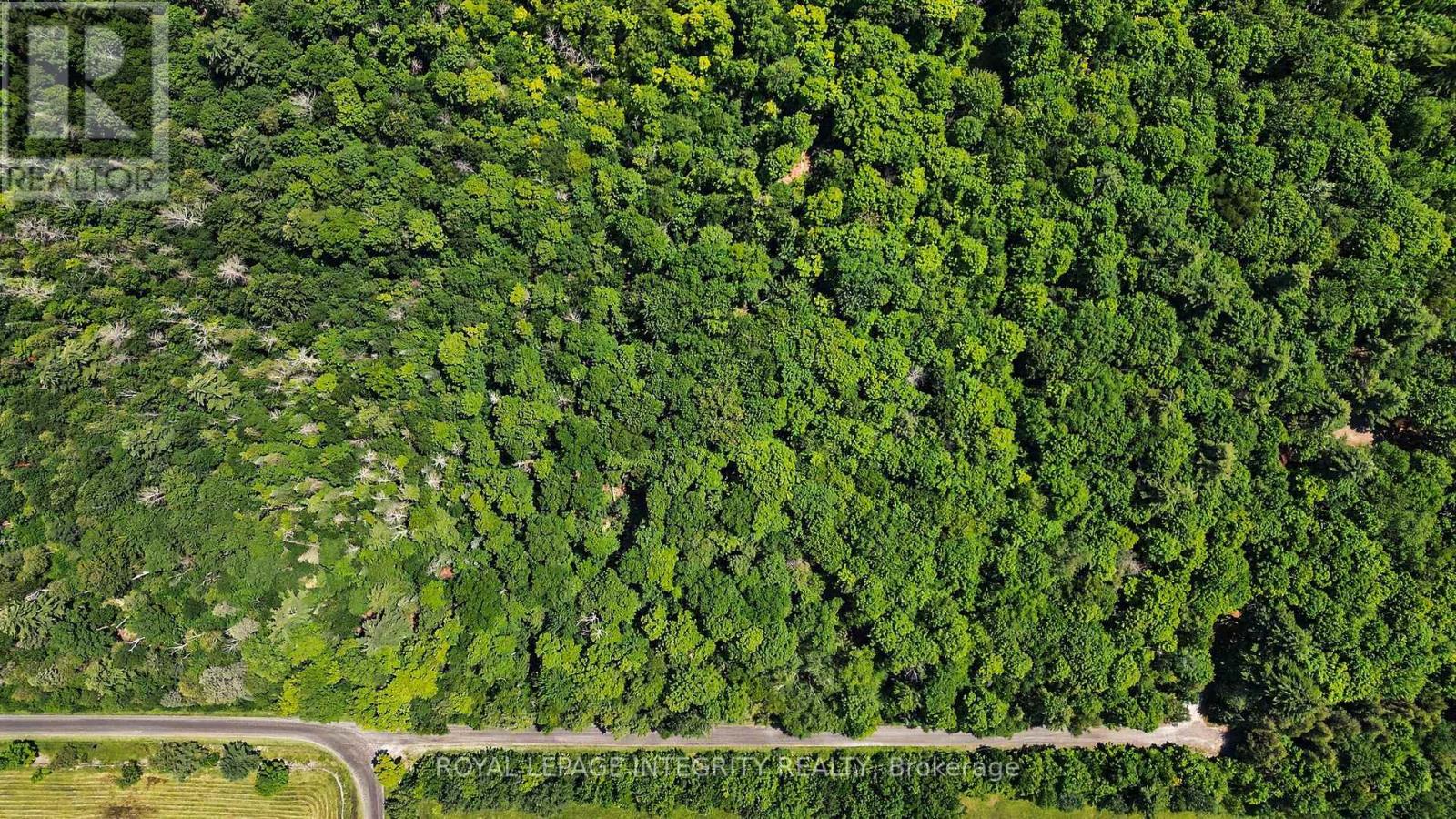 2657 Palmer Road, Tay Valley, Ontario  K7H 3C9 - Photo 7 - X13533130