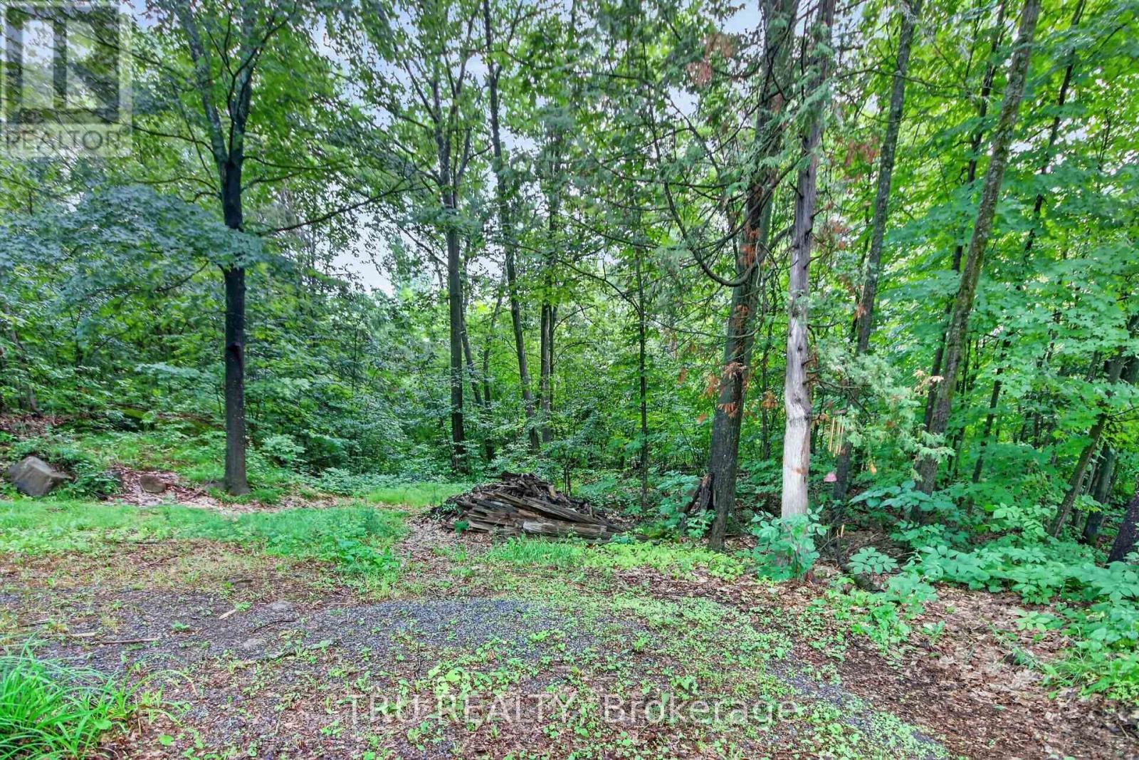 2376 Kinburn Side Road, Ottawa, Ontario  K0A 2H0 - Photo 49 - X13533196