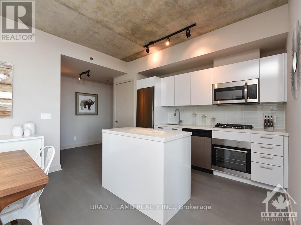 209 - 203 Catherine Street, Ottawa, Ontario  K2P 1J5 - Photo 10 - X13534776