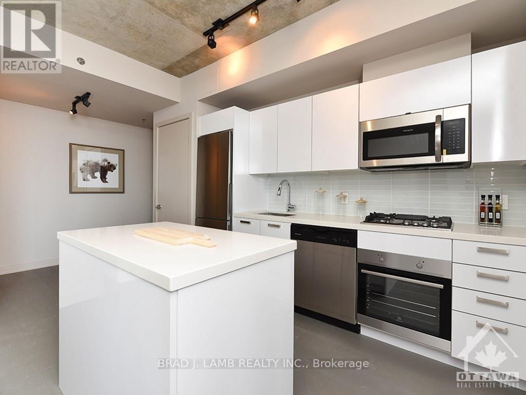 209 - 203 Catherine Street, Ottawa, Ontario  K2P 1J5 - Photo 9 - X13534776