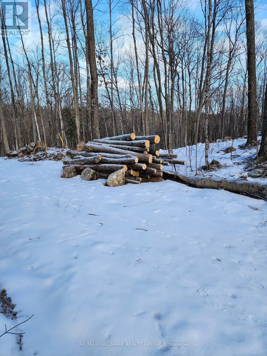 Lot #20 Crestview Drive, Greater Madawaska, Ontario  K0J 1H0 - Photo 10 - X13535918