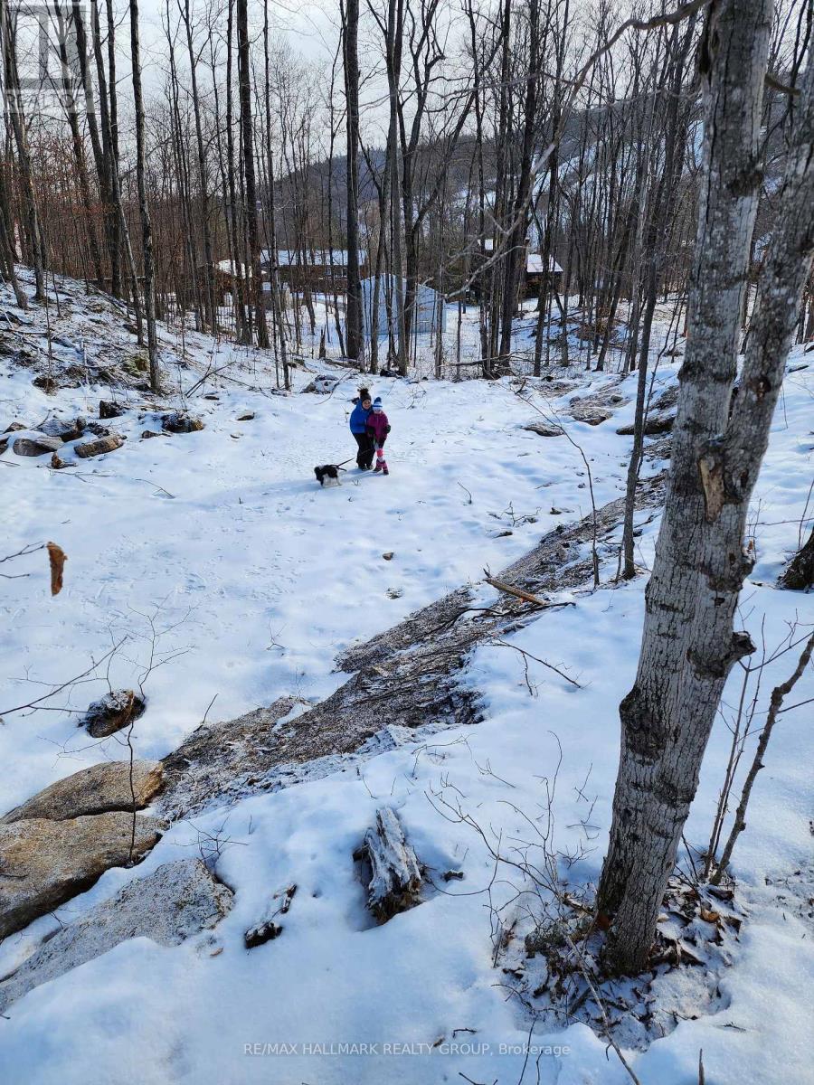 Lot #20 Crestview Drive, Greater Madawaska, Ontario  K0J 1H0 - Photo 12 - X13535918
