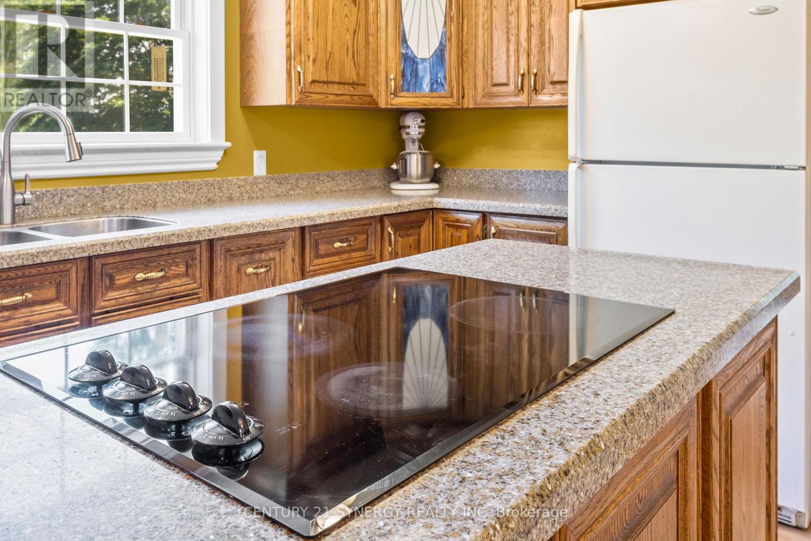 183 Hamilton Road, Russell, Ontario  K4R 1E5 - Photo 8 - X13536160