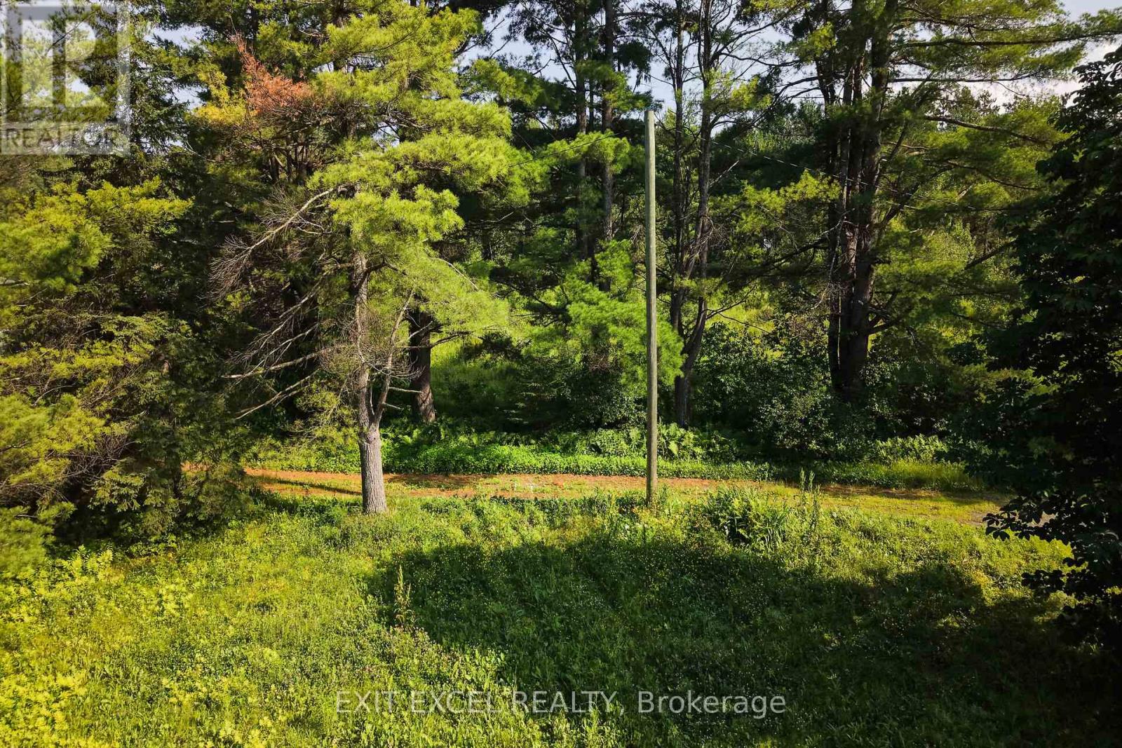 4822 Champlain Street, Clarence-Rockland, Ontario  K0A 1E0 - Photo 7 - X13536856