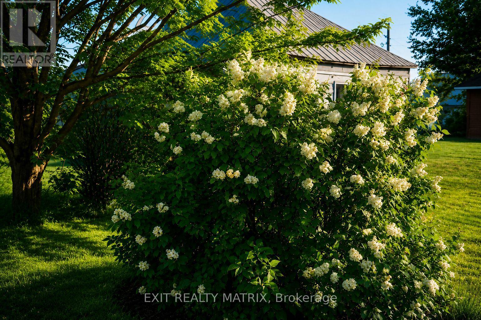 18203 Kenyon 19 Concession, North Glengarry, Ontario  K0C 1T0 - Photo 40 - X13537672