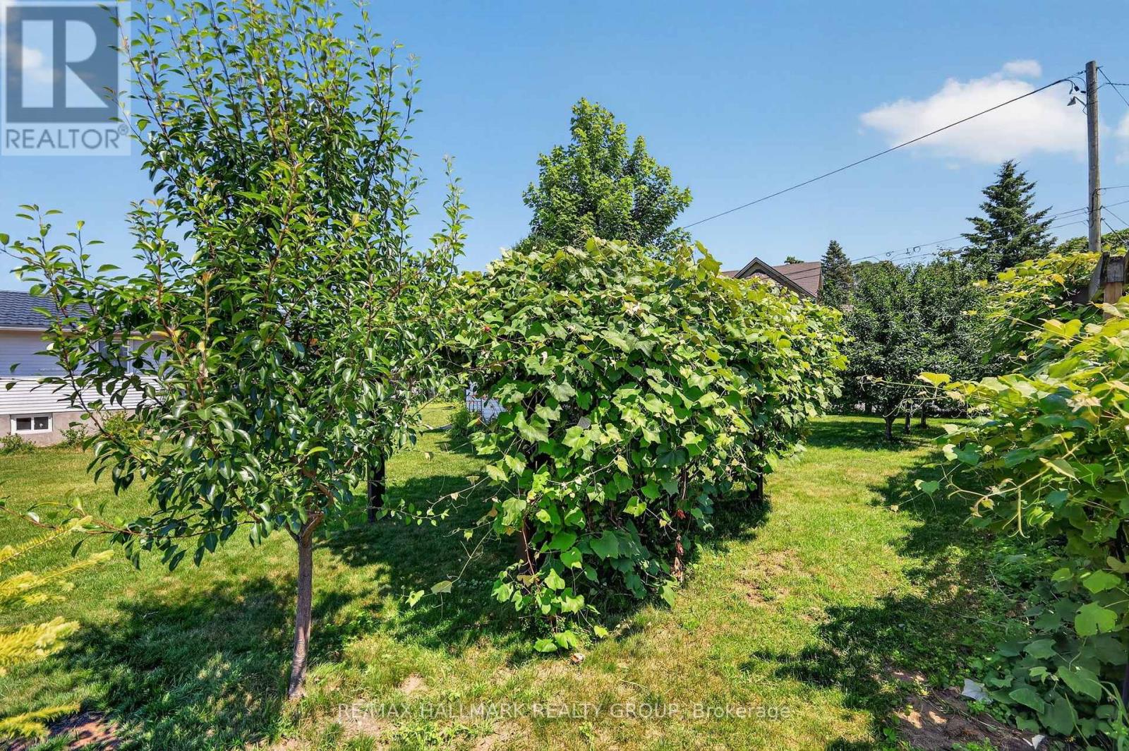 2205 Woods Street, Clarence-Rockland, Ontario  K4K 1J3 - Photo 42 - X13538998