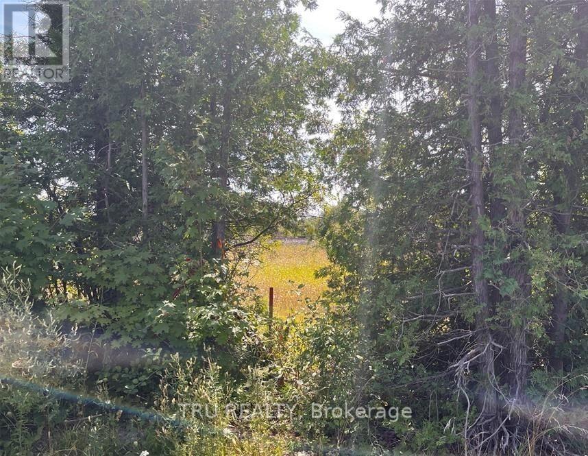 394 Scotch Line Road, North Grenville, Ontario  K0G 1J0 - Photo 3 - X13541450