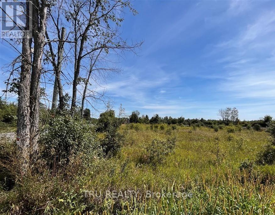 394 Scotch Line Road, North Grenville, Ontario  K0G 1J0 - Photo 4 - X13541450